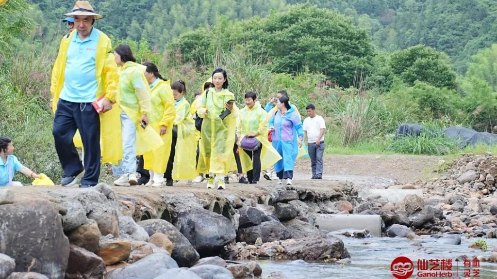 visit brought the group into the forests of Mount Wuyi-3